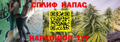 PSILOCYBIN Заводоуковск