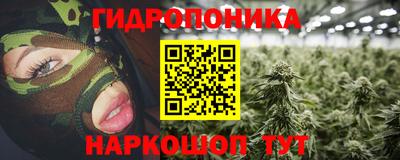 PSILOCYBIN Заводоуковск