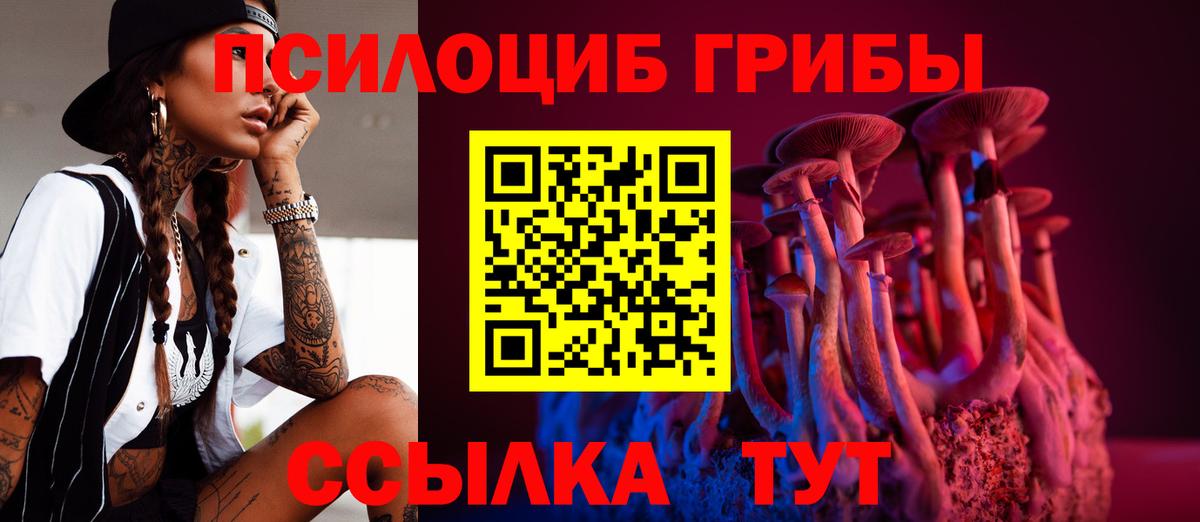 Галлюциногенные грибы Psilocybine cubensis  Вход с VPN  Магнитогорск 